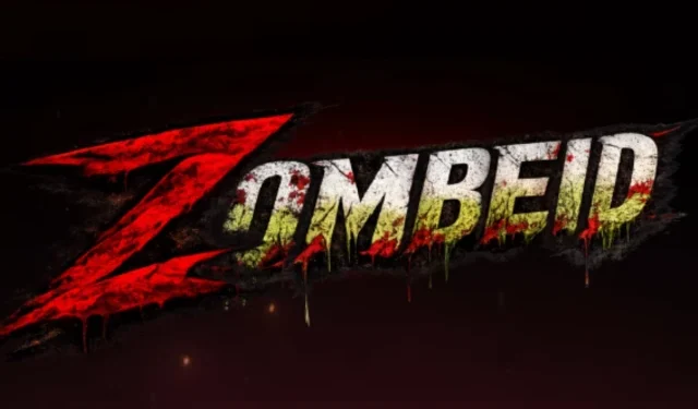 photo filmwalapictures instagram